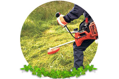 Brush Cutting in Banstead