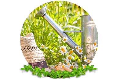 Gardening in Banstead