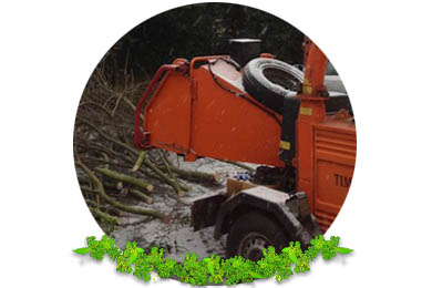 Branch Chipping in Dorking