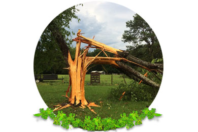 Storm Repairs in Dorking
