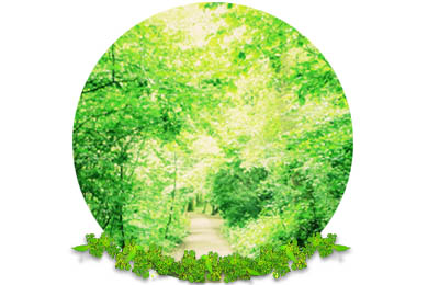 Conservation Areas in Dorking