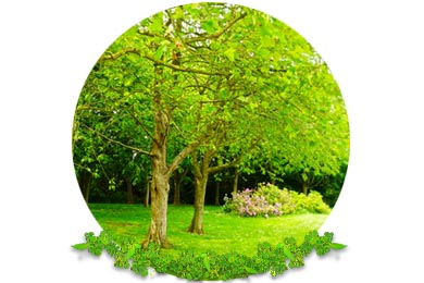 Target Pruning in Dorking