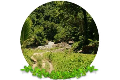 Vegetation Clearance in Reigate