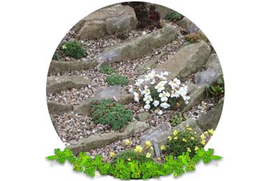 Rockeries in Reigate
