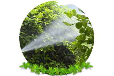 Spraying in Sussex